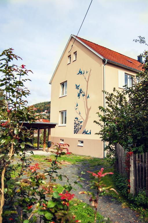 Ruhig, Modern & Naehe Altstadt! Meiningen Buitenkant foto